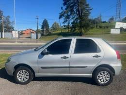 FIAT - PALIO - 2011/2012 - Prata - R$ 27.900,00